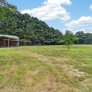 Photo #50 of 3315 SEASIDE RD, EXMORE, VA 11.0 acres