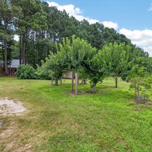 Fruit Trees and Open with Yard