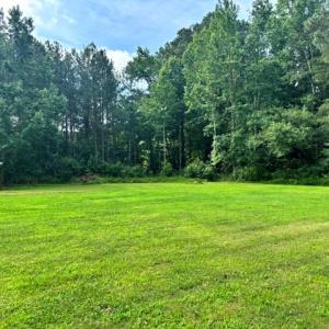 Photo #45 of 16461 BIG RD, BLOXOM, VA 0.9 acres
