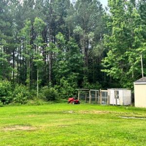 Photo #46 of 16461 BIG RD, BLOXOM, VA 0.9 acres