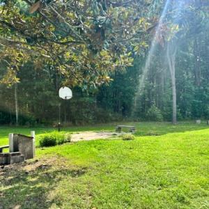Photo #48 of 16461 BIG RD, BLOXOM, VA 0.9 acres
