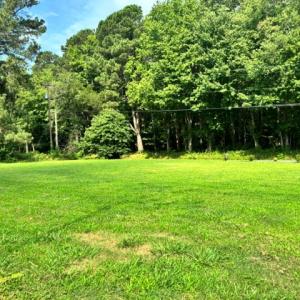 Photo #49 of 16461 BIG RD, BLOXOM, VA 0.9 acres