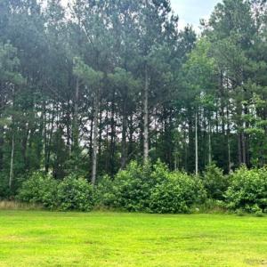 Photo #51 of 16461 BIG RD, BLOXOM, VA 0.9 acres