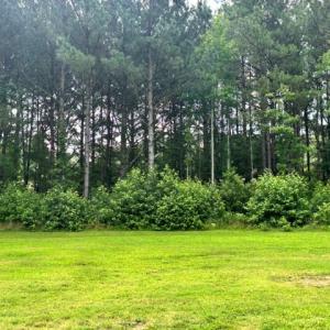 Photo #52 of 16461 BIG RD, BLOXOM, VA 0.9 acres