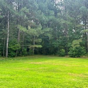 Photo #53 of 16461 BIG RD, BLOXOM, VA 0.9 acres