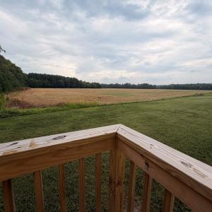Photo #22 of 11161 OCCOHANNOCK NECK RD, EXMORE, VA 0.5 acres