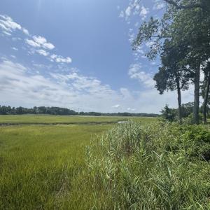 Photo #6 of 6012* PIN OAK, HORNTOWN, VA 0.1 acres