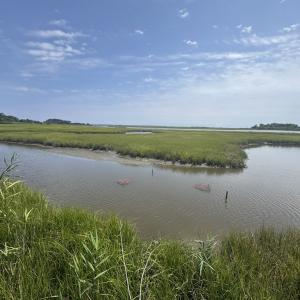 Photo #8 of 6012* PIN OAK, HORNTOWN, VA 0.1 acres