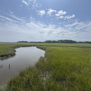 Photo #9 of 6012* PIN OAK, HORNTOWN, VA 0.1 acres