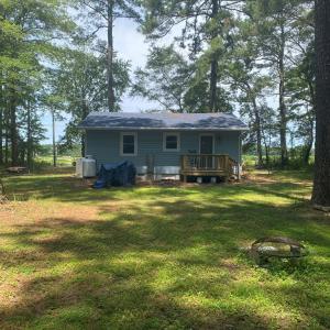back yard