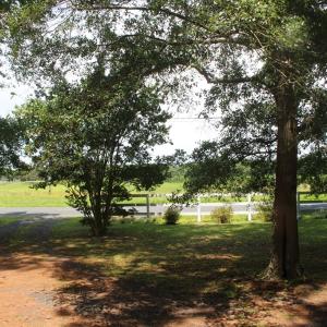 Photo #21 of 6724 OCCOHANNOCK NECK RD, EXMORE, VA 1.0 acres