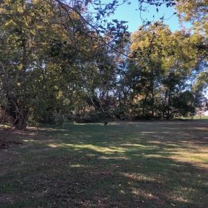 Photo #16 of 14250 SHORE DR, HARBORTON, VA 2.6 acres