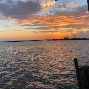 Photo #4 of 14250 SHORE DR, HARBORTON, VA 2.6 acres