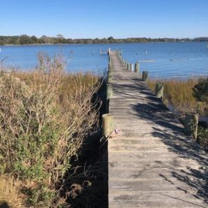 Photo #5 of 14250 SHORE DR, HARBORTON, VA 2.6 acres