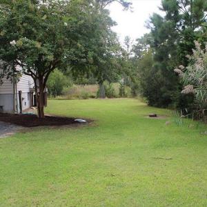 Side yard
