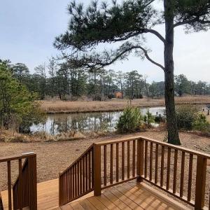 back deck