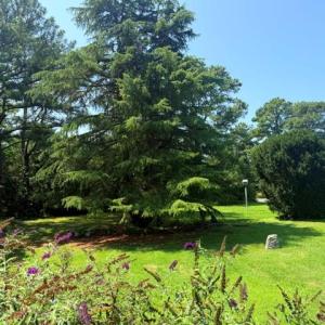 Photo #22 of 23605 NORTH ST, ONANCOCK, VA 1.5 acres