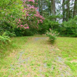 Photo #71 of 23605 NORTH ST, ONANCOCK, VA 1.5 acres