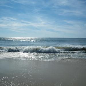Photo #16 of 1713 SAND HILL DR, CAPE CHARLES, VA 3.1 acres