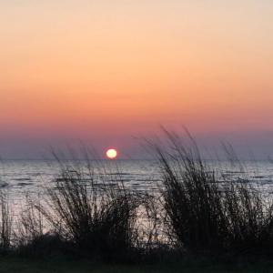 Photo #33 of 1713 SAND HILL DR, CAPE CHARLES, VA 3.1 acres