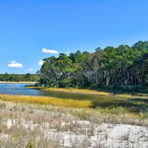 Photo #54 of 1713 SAND HILL DR, CAPE CHARLES, VA 3.1 acres