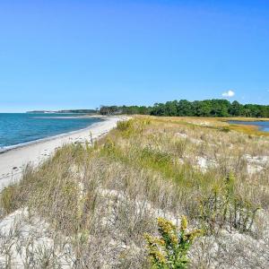 Photo #55 of 1713 SAND HILL DR, CAPE CHARLES, VA 3.1 acres