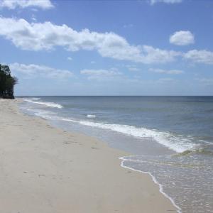 Photo #62 of 1713 SAND HILL DR, CAPE CHARLES, VA 3.1 acres