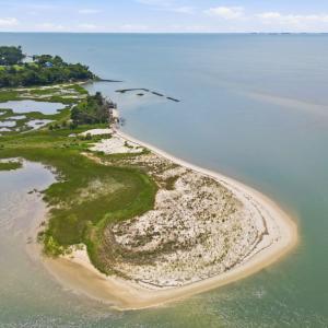 Photo #59 of 2063 ARLINGTON CHASE RD, CAPE CHARLES, VA 1.0 acres