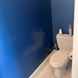 Photo #11 of 13178 PARTING CREEK RD, WILLIS WHARF, VA 0.2 acres