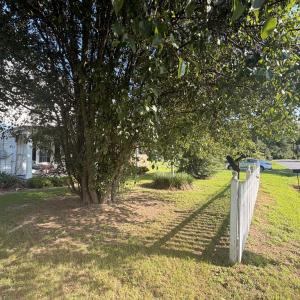Photo #4 of 25539 SHOREMAIN DRIVE, BLOXOM, VA 0.3 acres