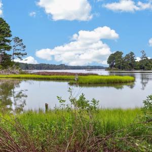 Photo #38 of 11096 HERMITAGE RD, BELLE HAVEN, VA 5.8 acres