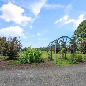 Photo #4 of 28415 MITCHELL DR, PARKSLEY, VA 1.3 acres