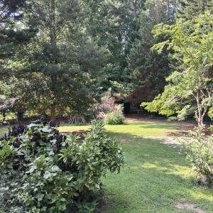 Photo #33 of 24093 COLEY ST, ACCOMAC, VA 1.0 acres