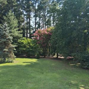 Photo #34 of 24093 COLEY ST, ACCOMAC, VA 1.0 acres