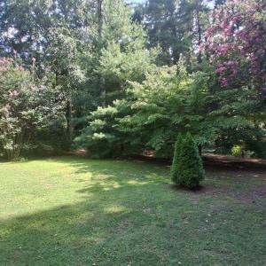 Photo #35 of 24093 COLEY ST, ACCOMAC, VA 1.0 acres