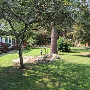 Photo #8 of 24093 COLEY ST, ACCOMAC, VA 1.0 acres