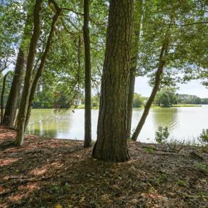 Photo #33 of 13247 FULL MEASURE LN, HACKSNECK, VA 3.2 acres