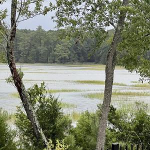 Photo #30 of 25267 SEAVIEW CT, ACCOMAC, VA 4.4 acres