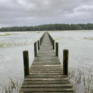 Photo #31 of 25267 SEAVIEW CT, ACCOMAC, VA 4.4 acres