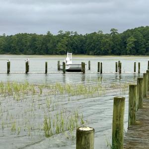 Photo #32 of 25267 SEAVIEW CT, ACCOMAC, VA 4.4 acres