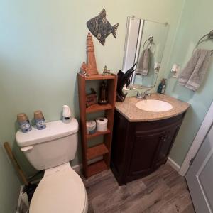 Photo #7 of 5261 PINTAIL DR, HORNTOWN, VA 0.1 acres