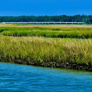 Photo #12 of 7550 EAST SIDE RD, CHINCOTEAGUE, VA 0.0 acres