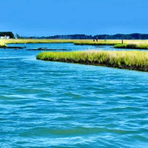 Photo #13 of 7550 EAST SIDE RD, CHINCOTEAGUE, VA 0.0 acres