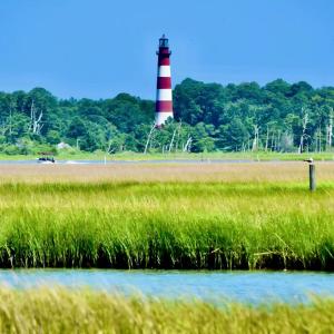 Photo #14 of 7550 EAST SIDE RD, CHINCOTEAGUE, VA 0.0 acres