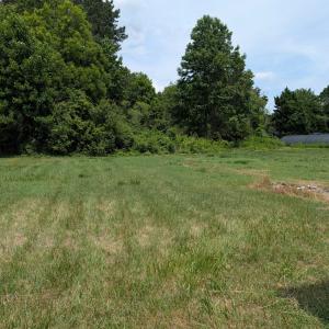 rear yard
