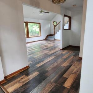 Photo #9 of 3890 CAPTAINS CORRIDOR, GREENBACKVILLE, VA 9,750.0 acres