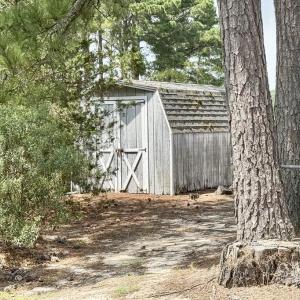 Photo #75 of 14329 WESTWIND DR, ONANCOCK, VA 3.7 acres