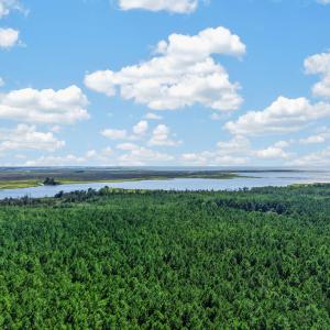 Photo #13 of 24031 BELINDA RD, SANFORD, VA 5.0 acres