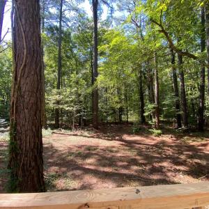 Photo #7 of 27202 PINE RIDGE DR, MELFA, VA 1.0 acres