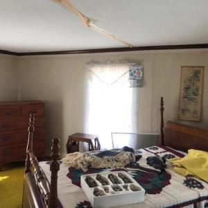 Photo #11 of 16122 MAIN RIDGE RD, TANGIER, VA